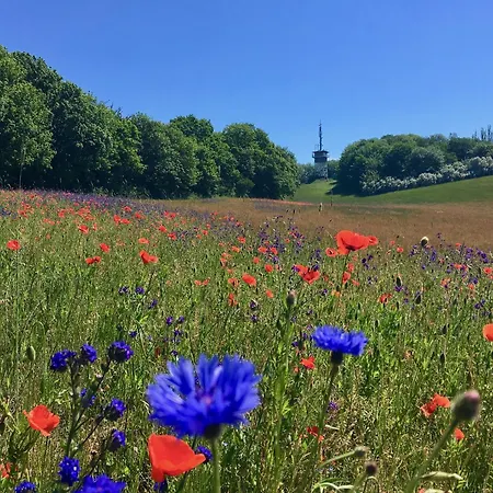 Haus Concordia 2 Lieblingsort * Thiessow